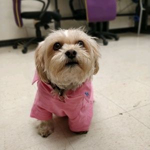 Meet your Posher, Connor